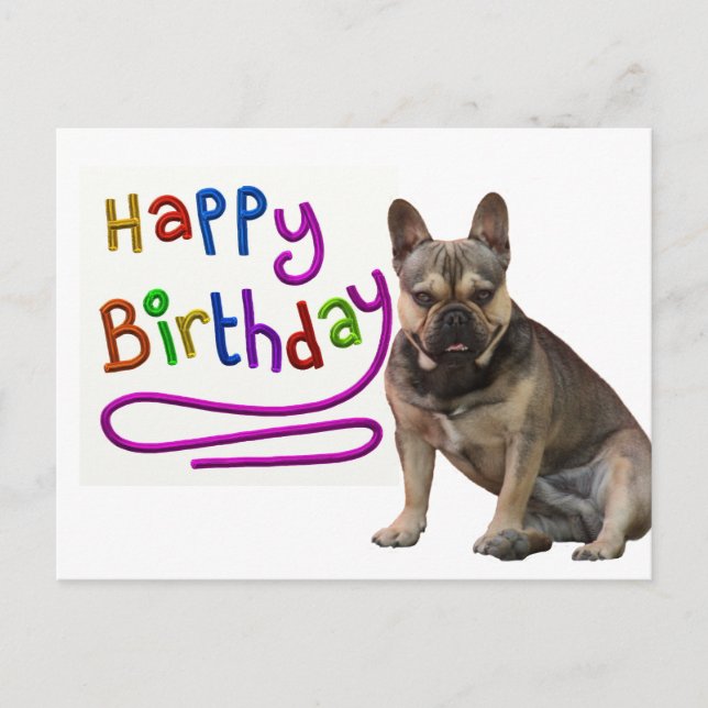 Carte Postale Bouledogue français Anniversaire Bouledogue frança (Devant)