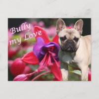 Bouledogue français avec des fleurs French Bulldog