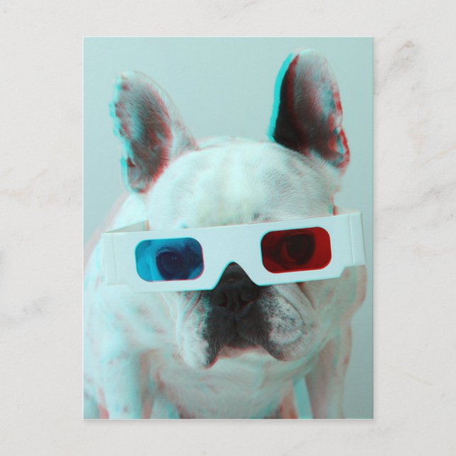 Carte Postale Bouledogue français avec les verres 3D (Devant)