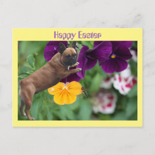 Carte Postale Bouledogue français Joyeuses Pâques Bouledogue Fra