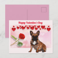 Bouledogue français Saint-Valentin French Bulldog