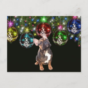 Carte Postale Bouledogues français Noël Bouledogue français