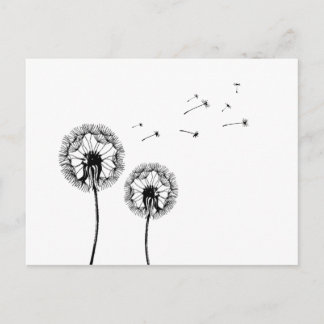 Carte Postale Boume de pustère