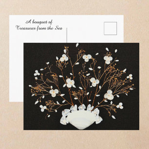 Carte Postale Bouquet de coquillages blancs Dramatique Noir