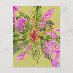 Carte Postale Bouquet de fleurs de baume rose sur vert