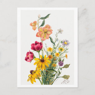 Carte Postale Bouquet de fleurs Illustration botanique