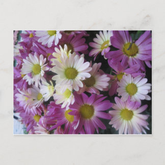 Carte Postale Bouquet de fleurs Jardin aux papillons : Cadeaux é