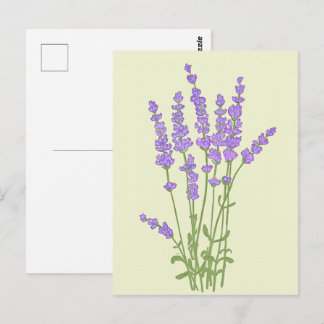 Carte Postale Bouquet de fleurs lavande.
