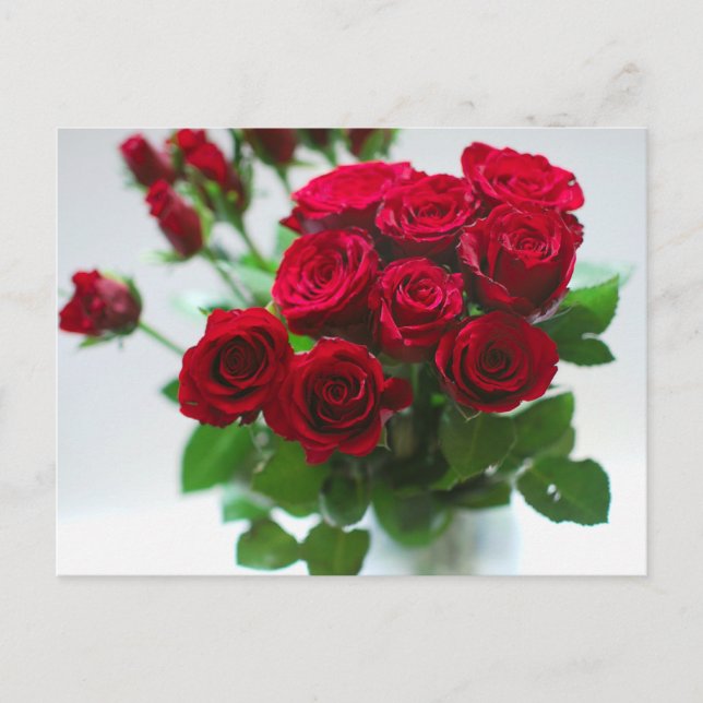 Carte Postale bouquet de roses rouges (Devant)