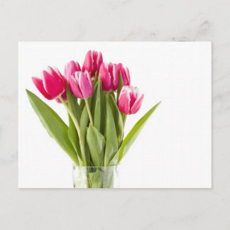 Carte Postale Bouquet de tulipes rouges et blanches dans un vase