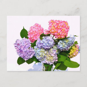 Carte Postale Bouquet Hydrangea