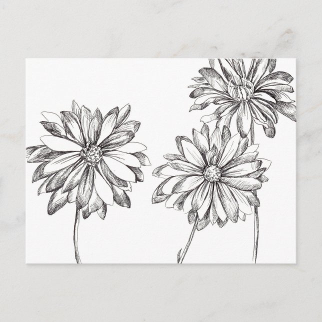 Carte Postale Bouquet noir blanc marguerite Dessin (Devant)