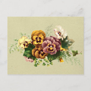 Carte Postale Bouquet vintage Pansies