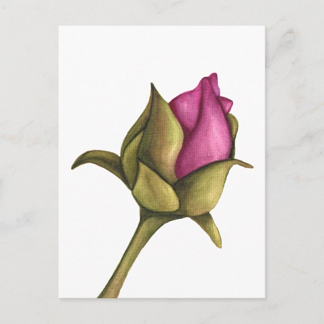 Carte Postale bourgeon de pivoine (Devant)