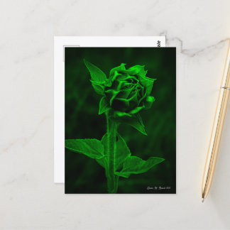 Carte Postale "Bourgeon de tournesol" 