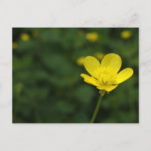 Carte postale Bouteille