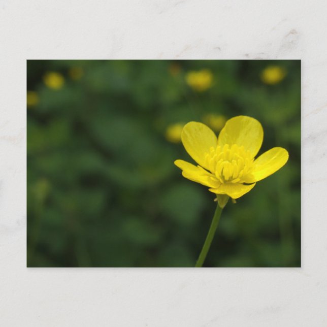 Carte postale Bouteille (Devant)