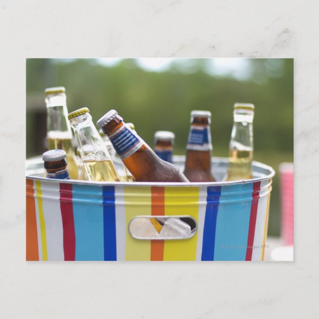 Carte Postale Bouteilles de bière dans un seau à glace (Devant)