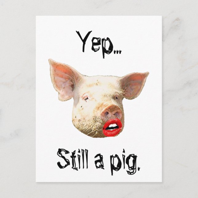 Carte Postale Bouton à lèvres sur un cochon (Devant)