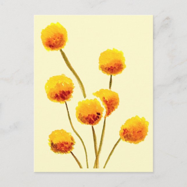Carte Postale Bouton Billy jaune fleur australienne originaire (Devant)