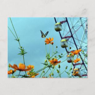 Carte Postale Bouton bleu Triangle & Fleurs Cosmos : Japon
