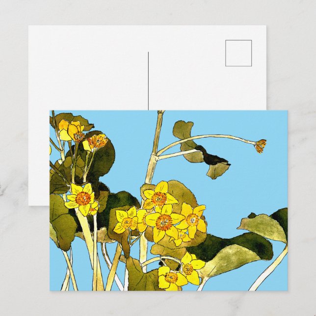 Carte Postale Boutons Art Nouveau (Devant / Derrière)