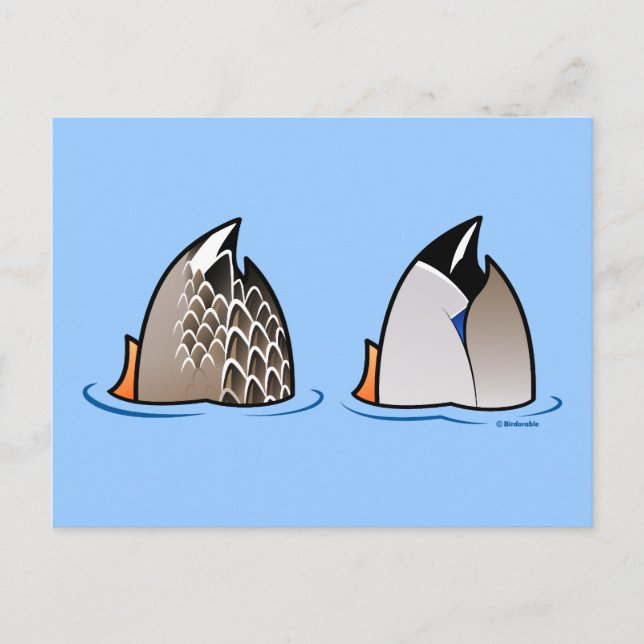 Carte Postale Boutons de canard (Devant)