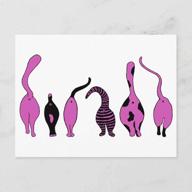 Carte Postale Boutons de chat violet (Devant)