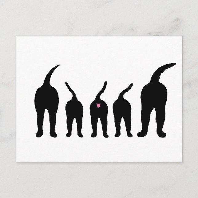 Carte Postale Boutons de chien Silhouette (Devant)