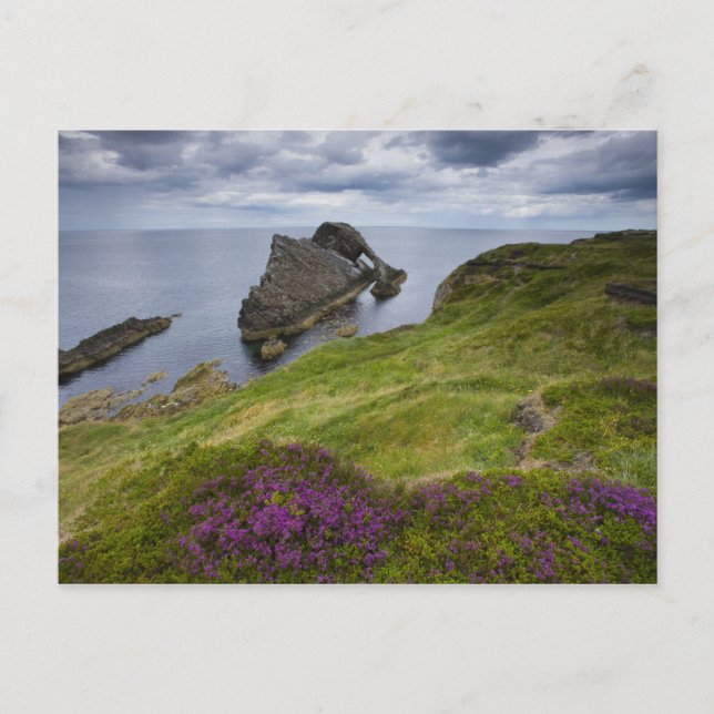 Carte Postale Bow Fiddle Rock, Portknockie, Écosse (Devant)