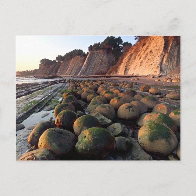 Carte Postale Bowling Ball Beach, Gulch de Schooner, Point Arena (Devant)