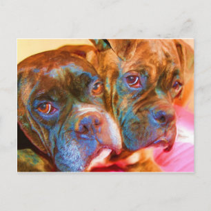 Carte postale Boxer Art