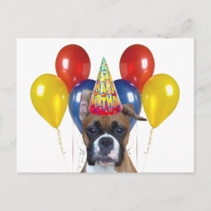 Carte postale Boxer happy anniversaire