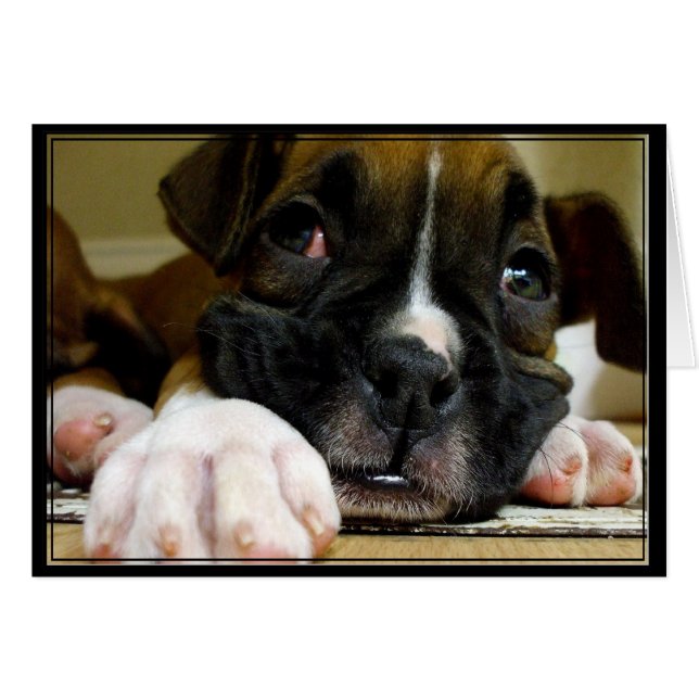 Carte postale Boxer Puppy (Devant horizontal)