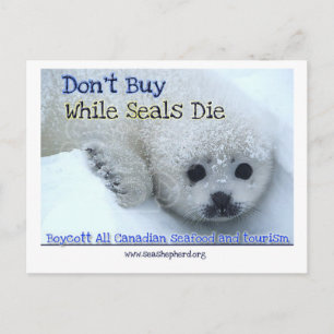 Carte Postale Boycott Canada