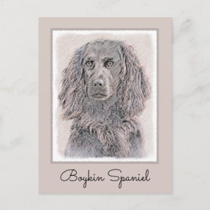 Carte Postale Boykin Peinture Espagnole - Cute Original Chien Ar