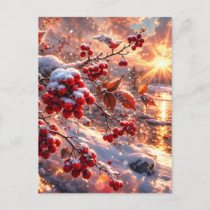 Carte Postale Braises de baies rouges de neige d'hiver