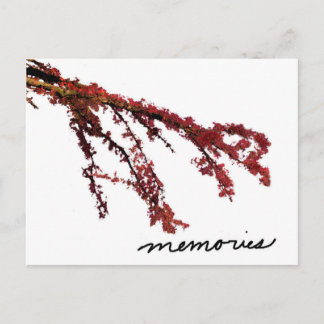 Carte Postale Branche d'arbre rouge avec souvenirs