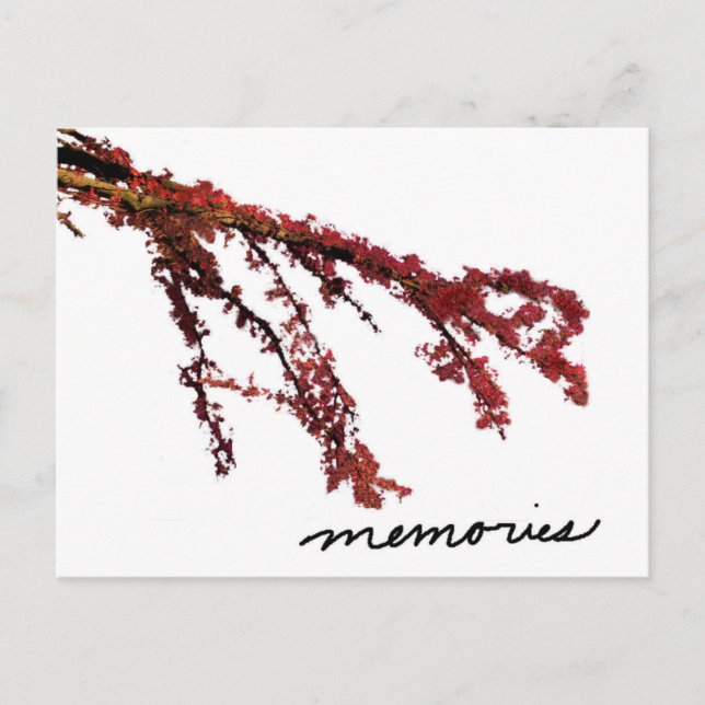 Carte Postale Branche d'arbre rouge avec souvenirs (Devant)