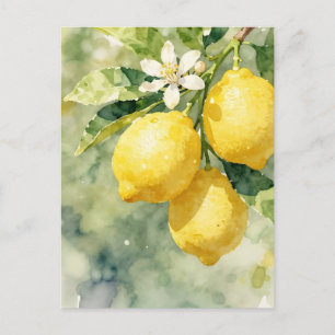 Carte Postale Branche de citron à l'aquarelle Botanique Été