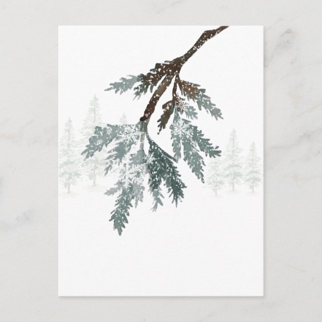 Carte Postale Branche de l'épinette Bleue Neige Scène forestière (Devant)