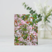 Branche délicate avec fleurs pommier