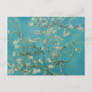 Carte postale Branches d'amandier en fleurs de Vin