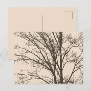 Carte Postale Branches d'arbre Brown à la crème rustique
