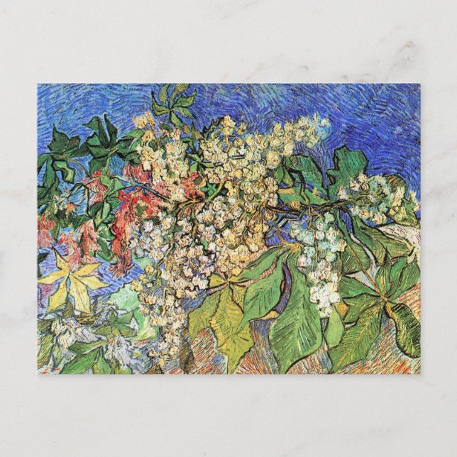 Carte Postale Branches de châtaignes florissantes par Vincent va (Devant)