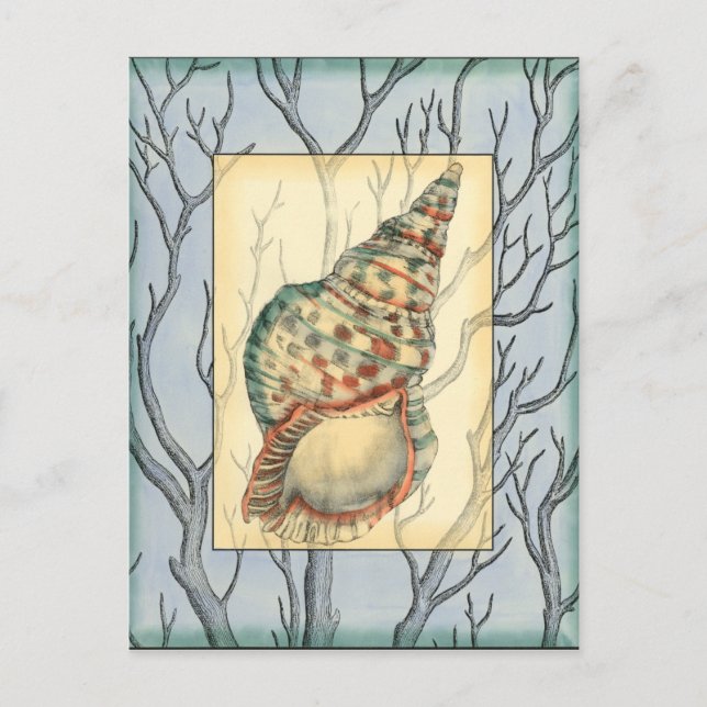 Carte Postale Branches des coquillages et des arbres (Devant)