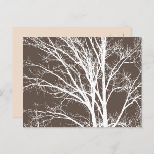 Carte Postale Branches rustiques Brown d'arbre blanc