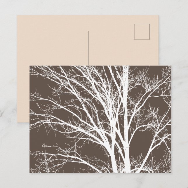 Carte Postale Branches rustiques Brown d'arbre blanc (Devant / Derrière)