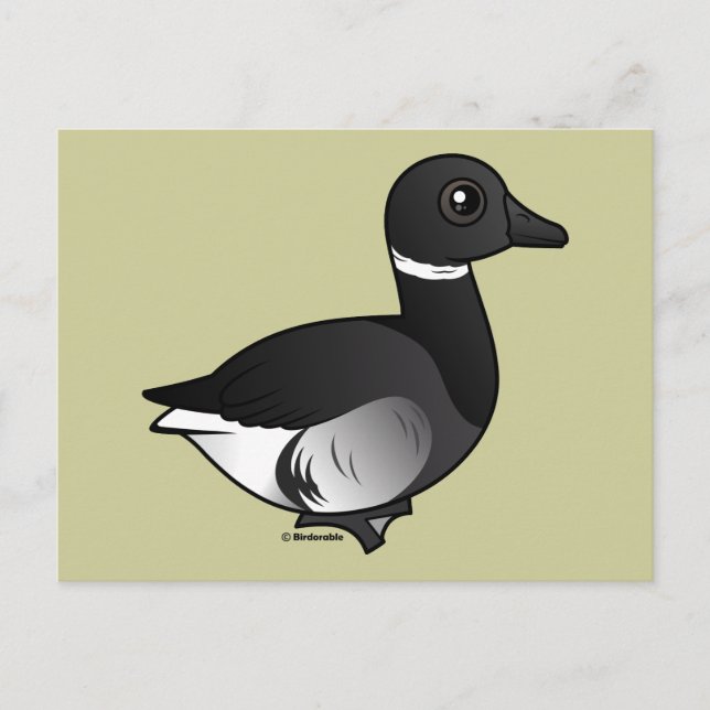 Carte Postale Brant noir (Devant)