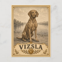 Braque hongrois, Chien du patrimoine vintage